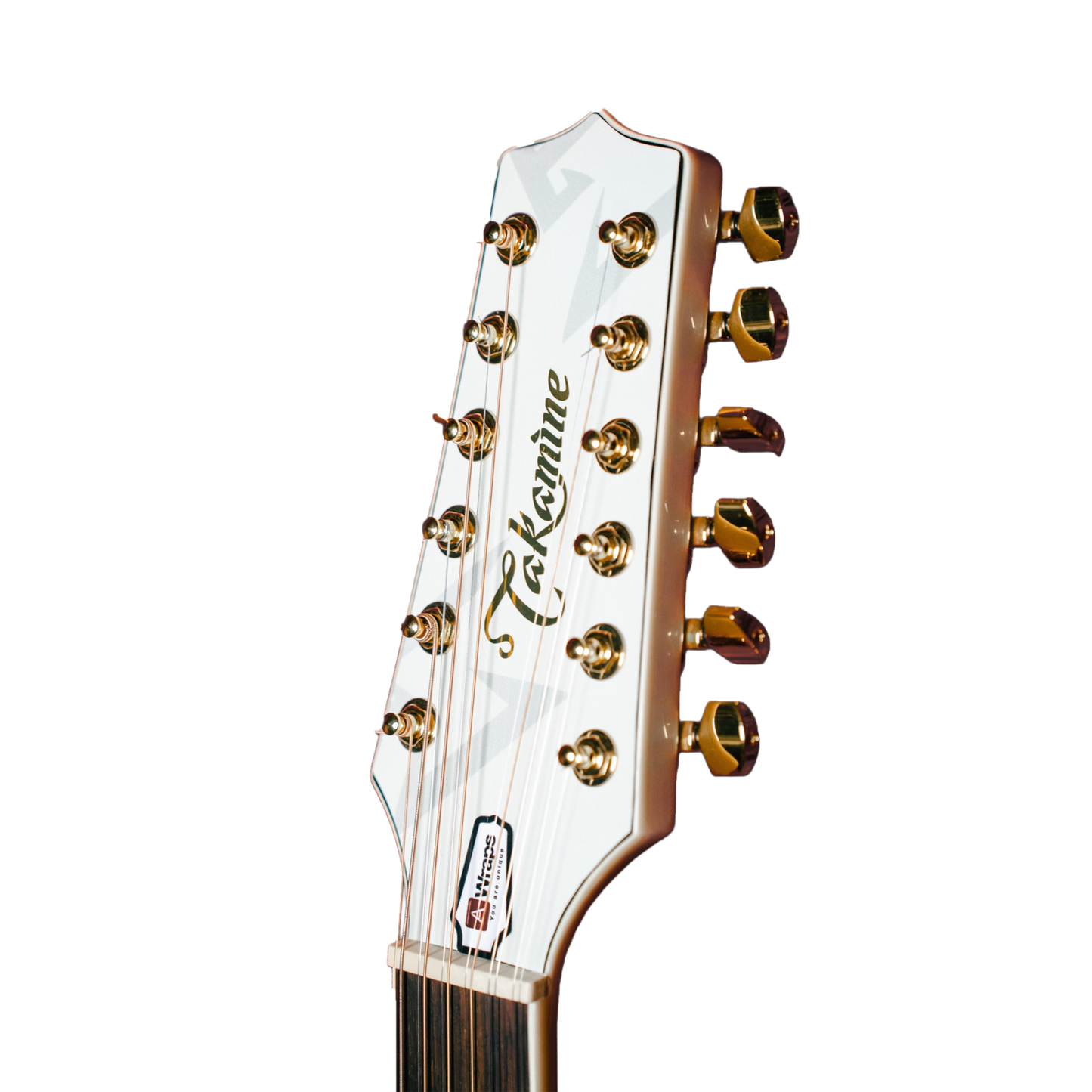 TAKAMINE STICKER 5 PACK